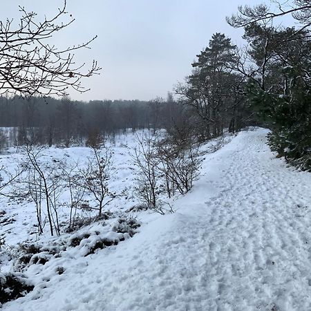 Vakantiewoning Heidebos In Het Nationaal Park Hoge Kempen Opglabbeek Экстерьер фото