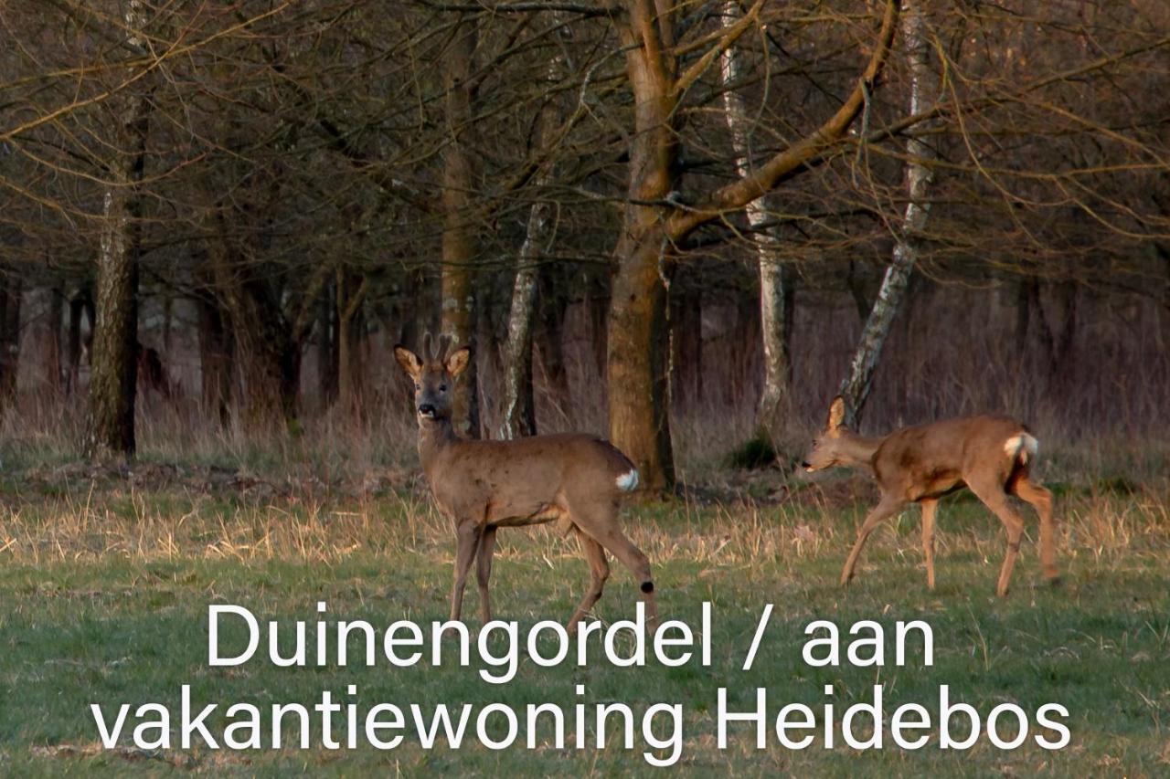 Vakantiewoning Heidebos In Het Nationaal Park Hoge Kempen Opglabbeek Экстерьер фото