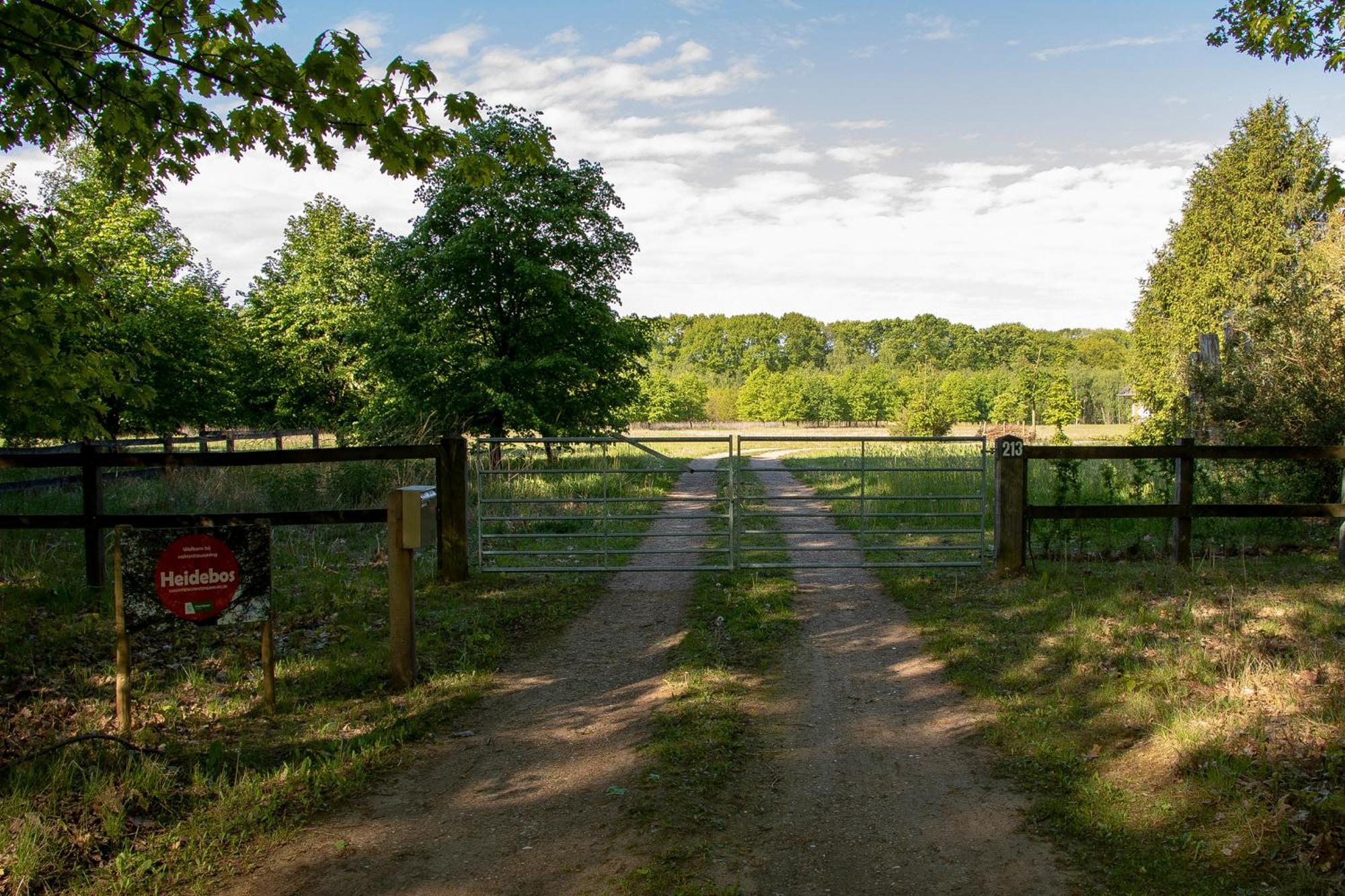 Vakantiewoning Heidebos In Het Nationaal Park Hoge Kempen Opglabbeek Экстерьер фото