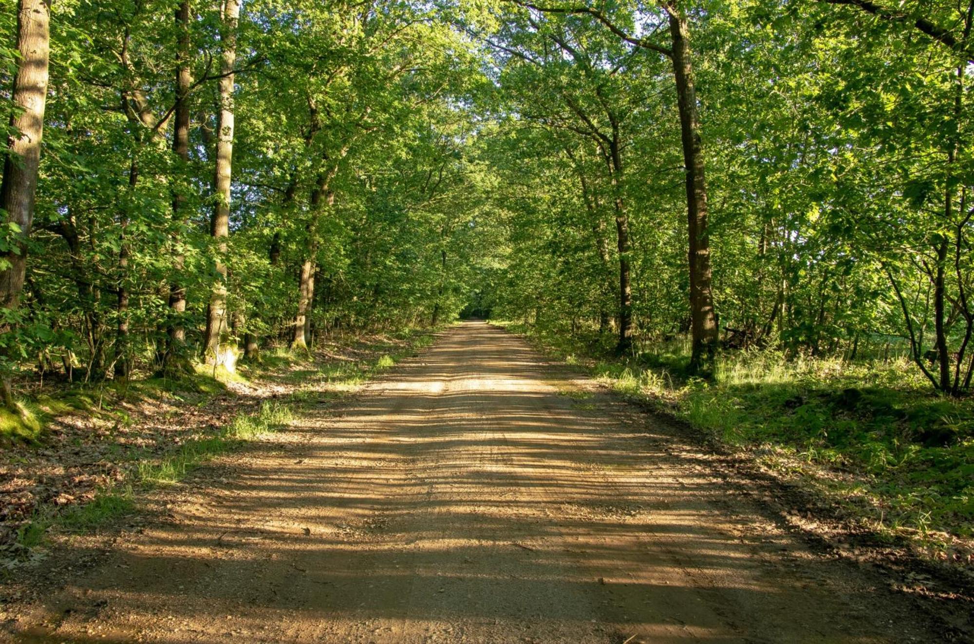 Vakantiewoning Heidebos In Het Nationaal Park Hoge Kempen Opglabbeek Экстерьер фото