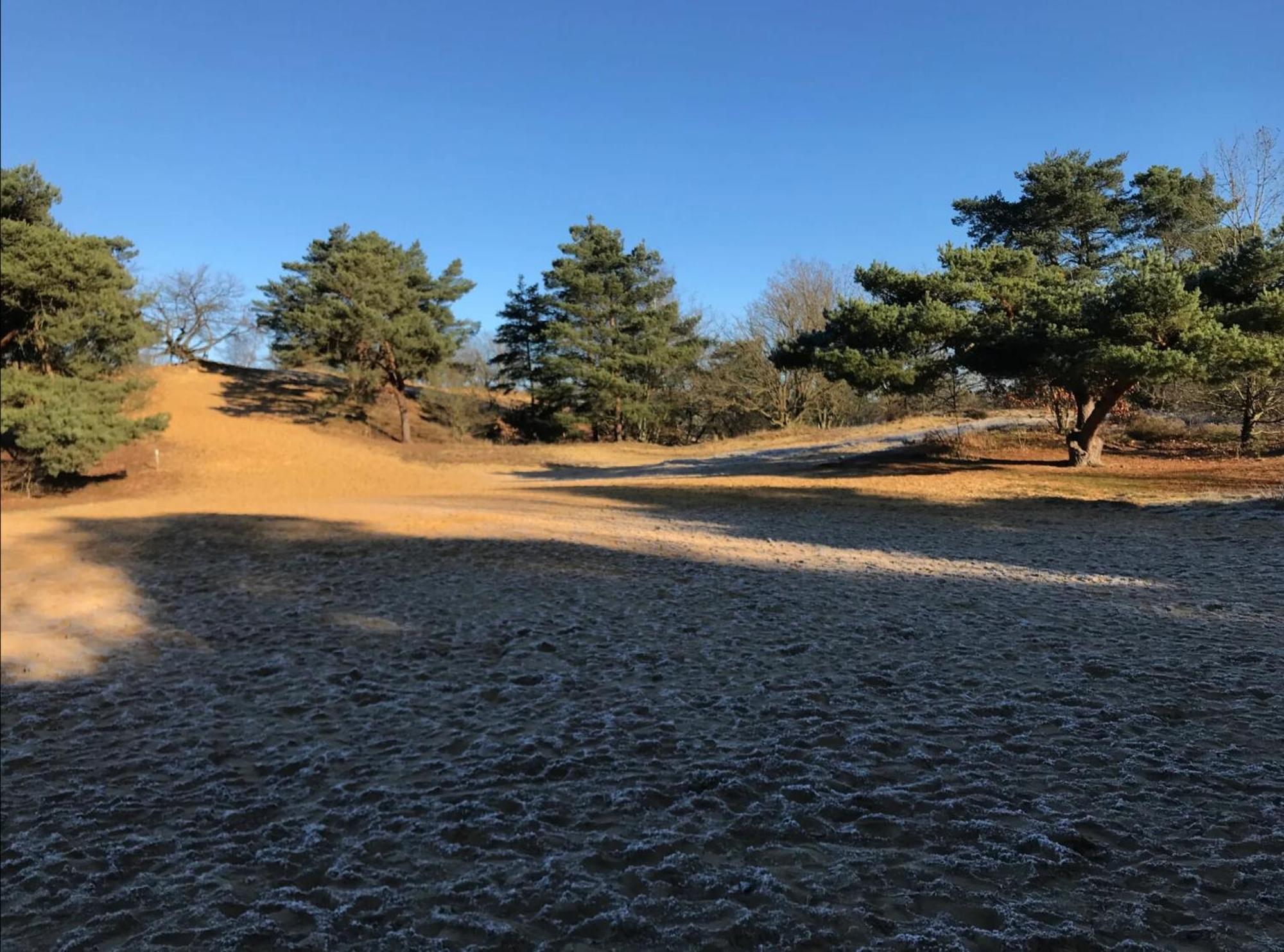 Vakantiewoning Heidebos In Het Nationaal Park Hoge Kempen Opglabbeek Экстерьер фото