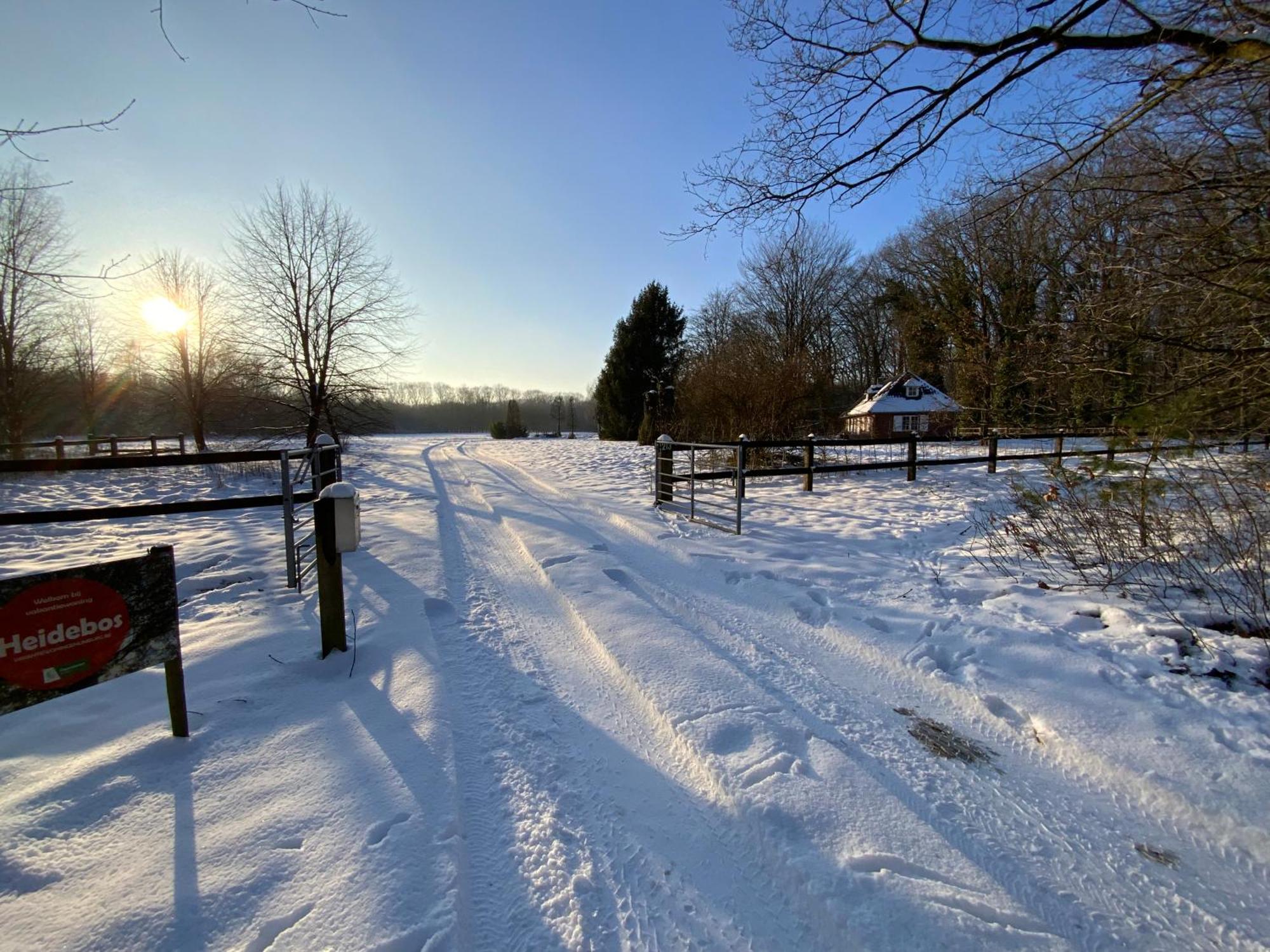 Vakantiewoning Heidebos In Het Nationaal Park Hoge Kempen Opglabbeek Экстерьер фото