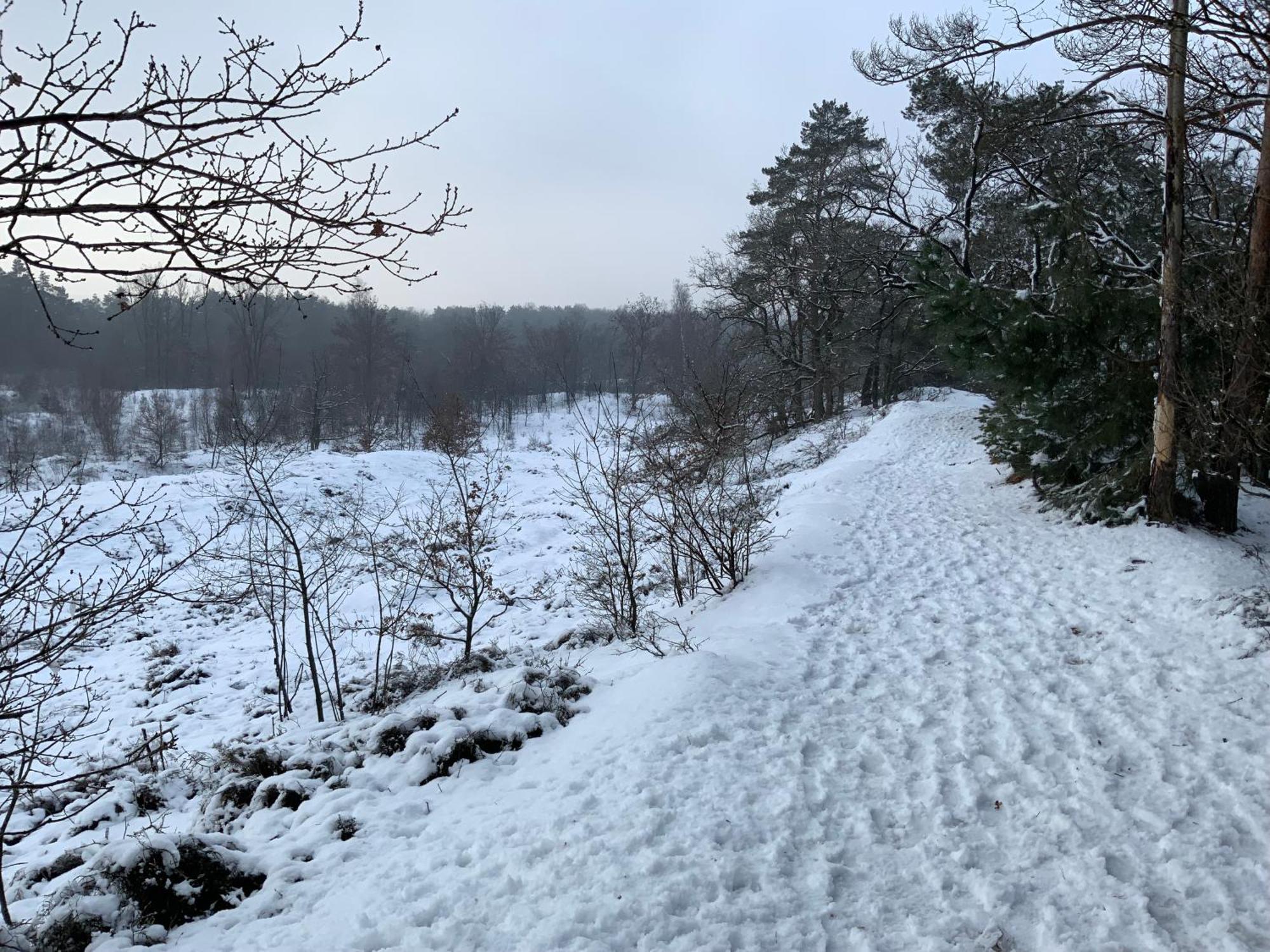 Vakantiewoning Heidebos In Het Nationaal Park Hoge Kempen Opglabbeek Экстерьер фото